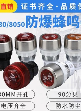 BD8050防爆蜂鸣器防爆声光金属报警灯ac220V24v红黄色BA8030