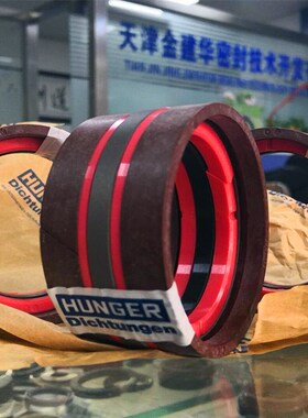 进口德国HUNGER洪格尔密封圈系列TDI/GD1000K油缸/剪板机油封大全