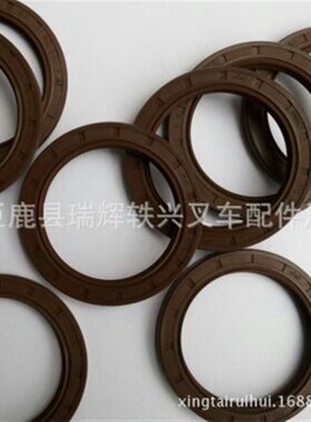 德国CW BABSL 60-80-7/6高压油泵马达氟胶油封55/70/8