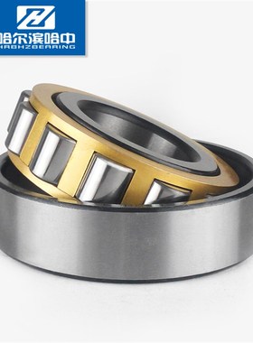 N NU NJ NUP 252 EM 圆柱滚子轴承单列二类铜保哈尔滨哈中HZB