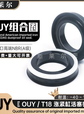 进口OUY活塞密封35*45*50*60*70*15.5 涨紧油缸密封 T18组合油封
