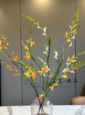 线条型插花素材火焰兰仿真花绢花家居摆放露营风小野花小碎花橘色