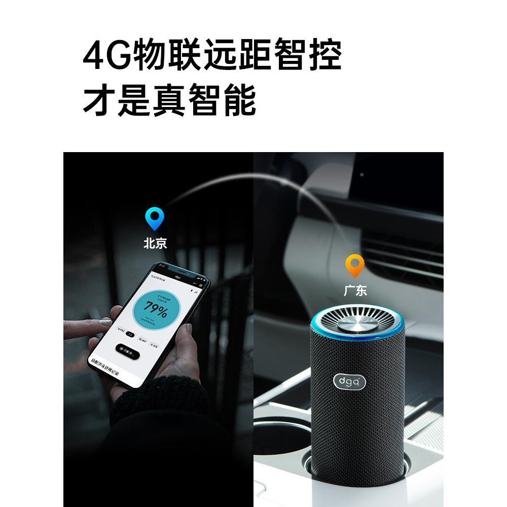 d净gq载空气化器车内汽车消除车异味专用去醛车用60313烟甲除味负