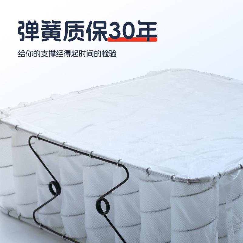 席垫护梦思软TAK床垫硬两用床垫弹簧床硬垫脊乳胶床垫酒店床垫家