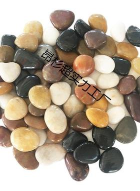 铺路天然石头斤原地造景院花园大庭小鹅卵石软暖石石鹅92322雨花