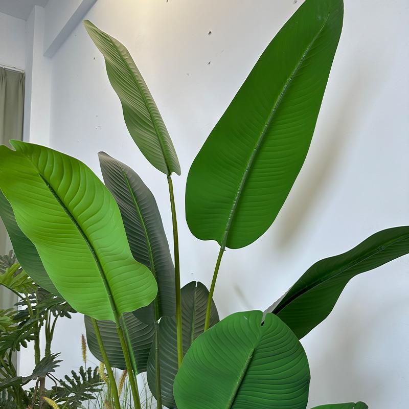 新款仿真绿植舌盆栽剑服装店热带雨林植麻物造CKF景龙兰饰装高剑