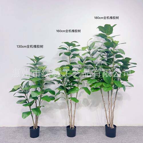 橡胶树欧风树仿真LL-102盆栽橡胶榕清新真树落地仿带式盆高档假树