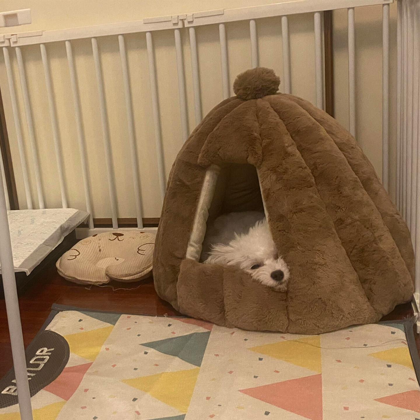 圆形狗窝冬季保暖封闭式安全感猫窝包裹式宠物窝狗床小型犬比熊