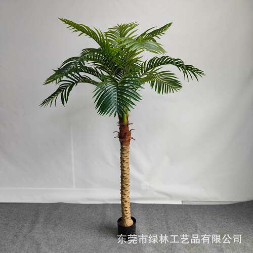 LL-41雨仿绿植棕扇葵唐棕葵假室内盆景摆件装饰热带林树植真物厂