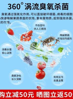 全自动洗菜菜机商用气泡洗洗机水果果蔬机气泡清机蔬菜AL101331商