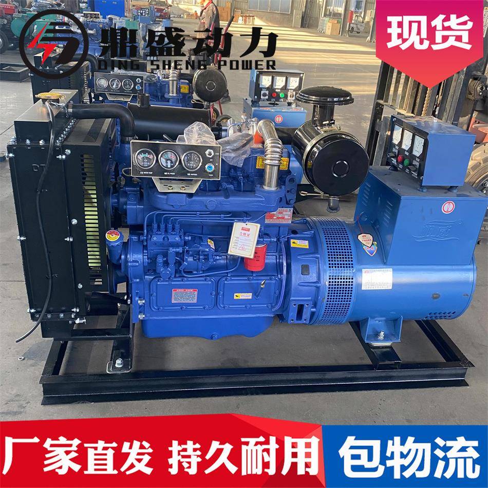 山东鼎盛0直kw千养瓦发电DS-50GF机组厂供鸡鸭猪鱼备用5应急全铜