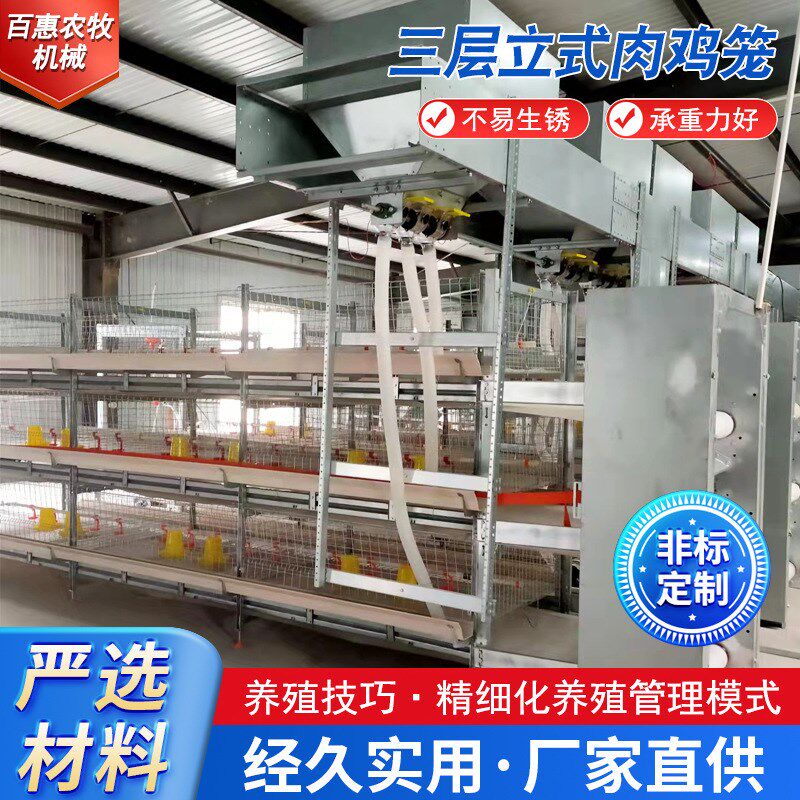 框架肉鸡笼子养i殖场用繁育笼具三层小鸡笼热镀锌三层立式肉鸡笼