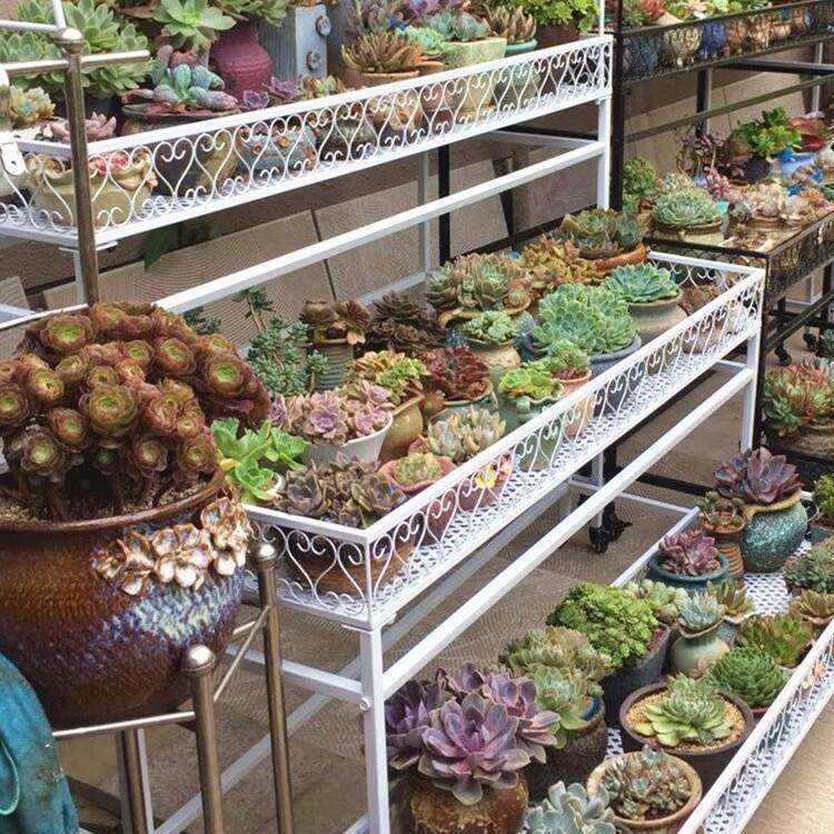 阳台多室肉XEK花架铁庭落地内挂灯多院层室外带轮露艺台,电子元器件市场,其它元器件,淘宝优惠券,粉丝福利购,淘宝优惠卷