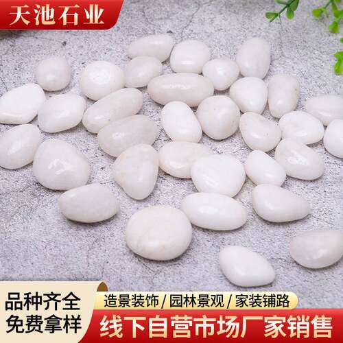 色鹅卵石造艺景园装饰116白鹅卵石白鹅卵石抛光普抛白色鹅卵石