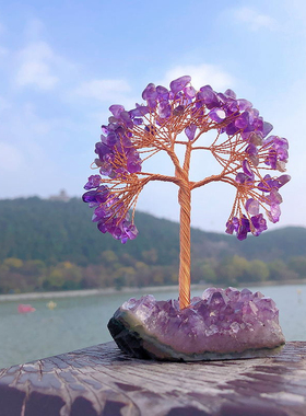 鸷山寺紫a水晶紫晶簇原石晶洞紫晶树玄关写字台床头家居装饰品摆