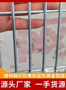 铁丝网可组合镀锌网格片小长孔养殖专用网片加粗加密鸽舍地网笼具