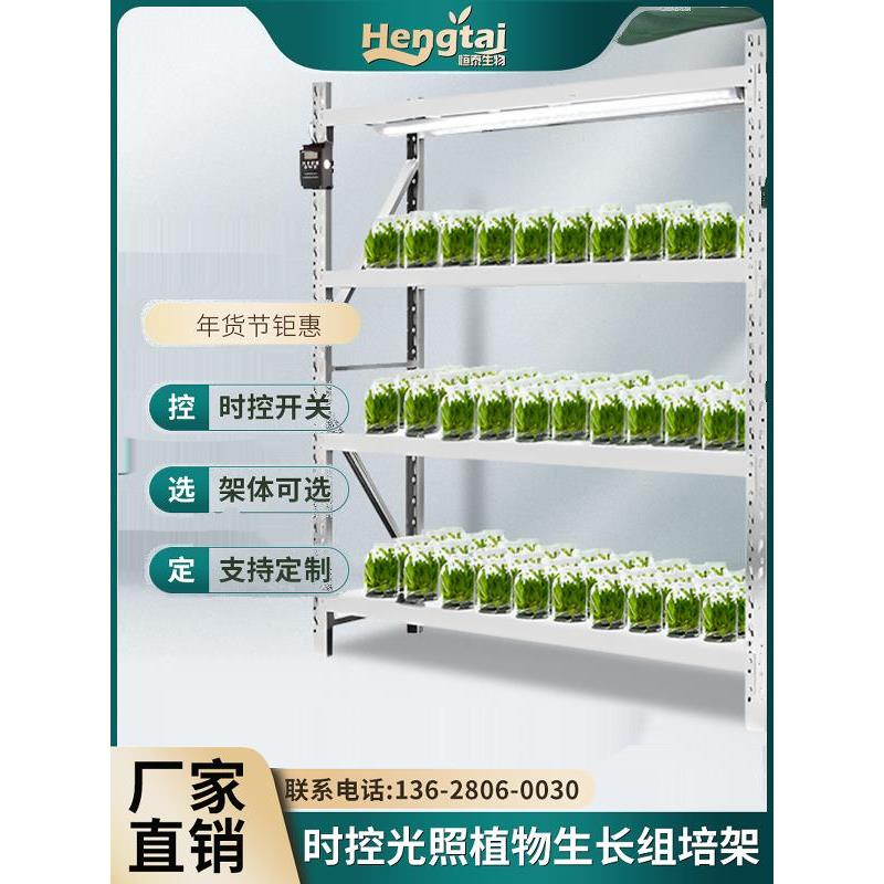 冷轧钢组培架植物光照培养架实验室育苗架室内一体式种植照光架