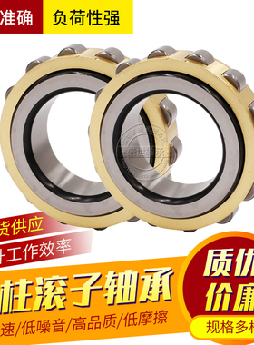 减速机轴承RN305 306 307 308 309 310 311 312 313 328 M