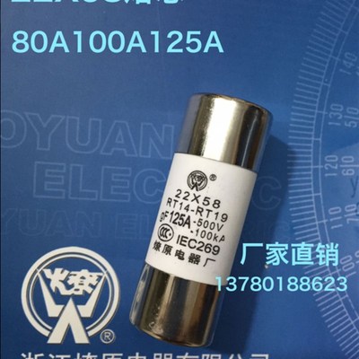 22X58(22*58)熔断器熔芯 厂家现货大量供应燎原熔断器