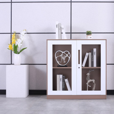 办公彩色铁皮文件柜矮柜阳台储物柜凭证柜小矮柜更衣档案柜包邮