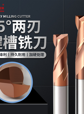 2刃55度钨钢铣刀合金铣刀加长平底直柄立铣刀涂层钢用CNC数控刀具