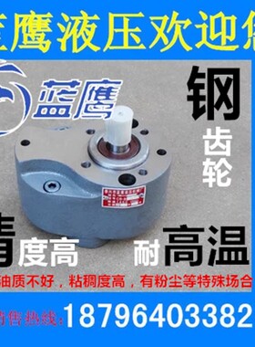 钢齿轮泵CB-B10/B6/B4/B2.5/B16/B20/B25/B32/B40/B50/B63耐磨损F