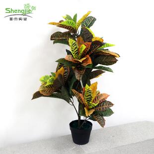 真淘景造仿景真洒金榕仿真榕树盆景商场fz01仿酒店室内造景洒金榕