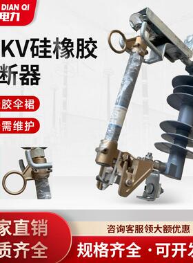 跌落式断器1熔1HRW12-11kv硅橡胶K熔高断器HRW12-11V-100A压真空