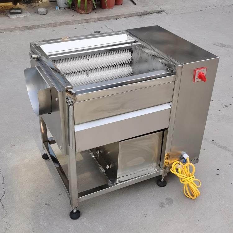 小型铃马去皮机商用毛刷薯全自动果UGR蔬去皮机器食酒店生姜脱堂