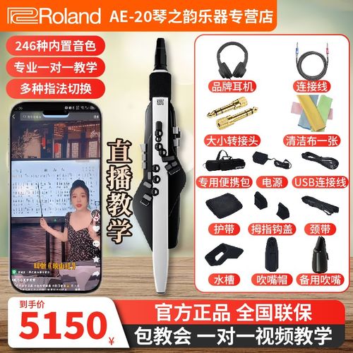 罗兰电吹管乐器ae20高级进口专业电子萨克斯新型电V葫芦丝乐器大