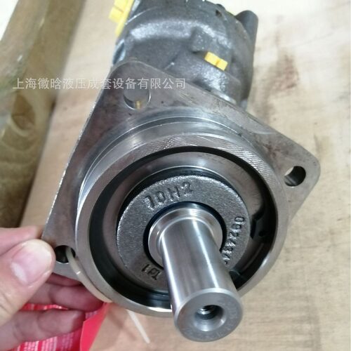 RexrothR902193365  A2FO12/61R-PPB06
