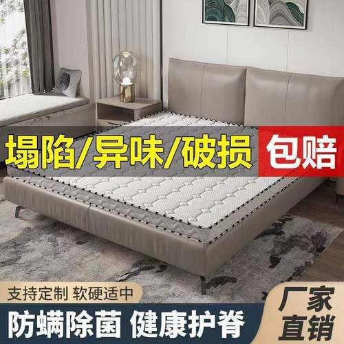 棕6D超厚保椰床两面软环硬KIB多用出租房家用垫椰棕软硬垫可折叠