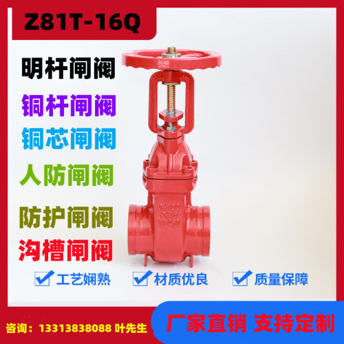 沟槽闸阀Z81T-16Q 铜芯闸阀 明杆闸阀 铜杆硬密封 人防 防护闸阀