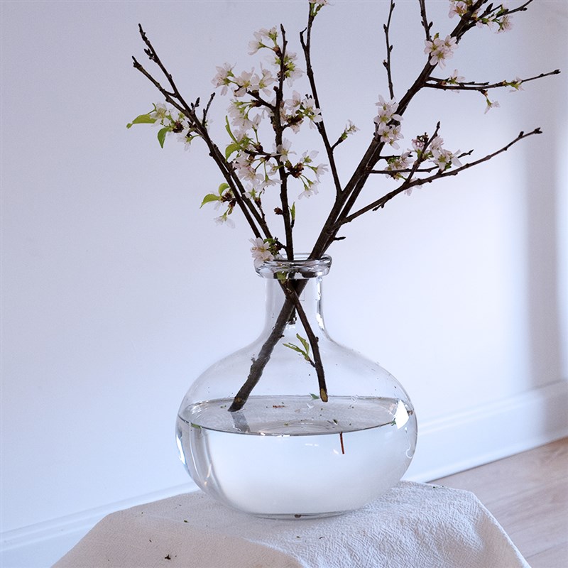 OOOO简约圆形大肚瓶吊钟马醉木插枝插N花水培透明玻璃花瓶