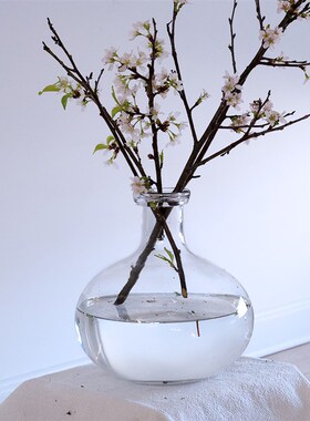 OOOO简约圆形大肚瓶吊钟马醉木插枝插N花水培透明玻璃花瓶