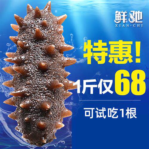 大连海参即食刺鲜活淡干海渗辽参年干货野生海生500g特价旗舰装袋