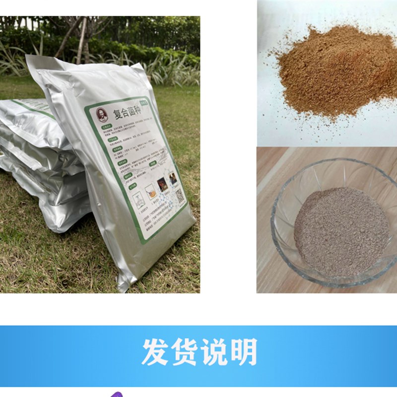 巴斯德 污水处理菌 厌氧型生物菌剂 氢化J物降解除臭菌 废水处理