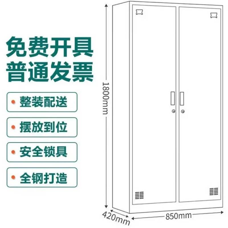 钢制二门更衣柜家用带锁储存物柜员工加厚铁皮卧室双门衣柜包邮