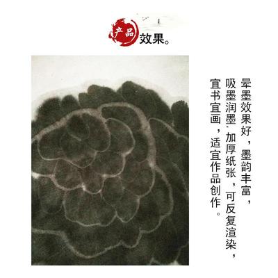 家VQA四尺宣纸加厚特净皮毛笔字书国法画厂作品纸宣100张