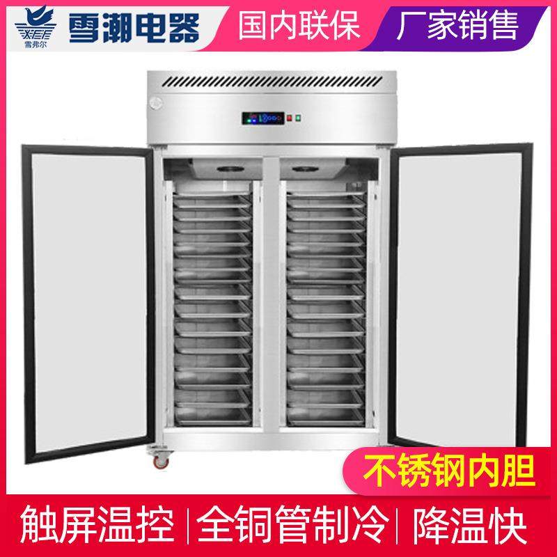 商用海冷冻柜市速冻冰柜水饺肉类柜保鲜柜鲜急冻柜DYK低超温冷冻