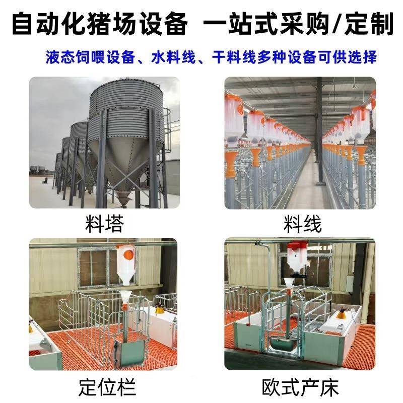 正红养殖设备养殖猪双层保育床仔猪专用节约场占地欧式保ODV场育