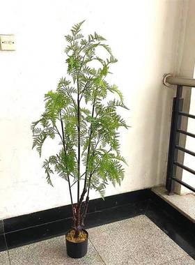 工尾厂店仿蕨类植物盆栽摆件马蕨手感88004蕨羊齿树蕨家真居装饰