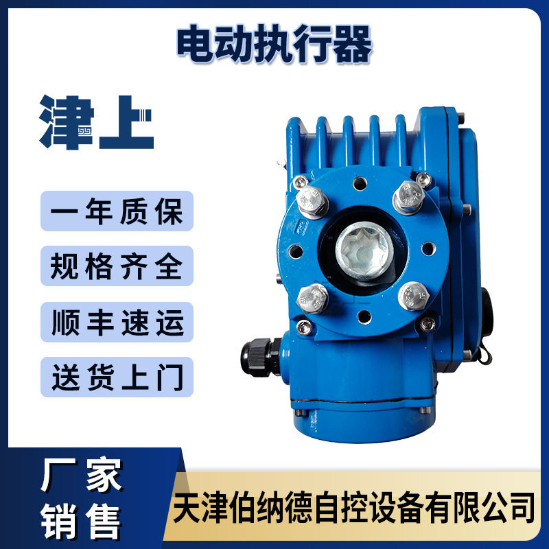 伯纳德AND-16精小型角行程电执