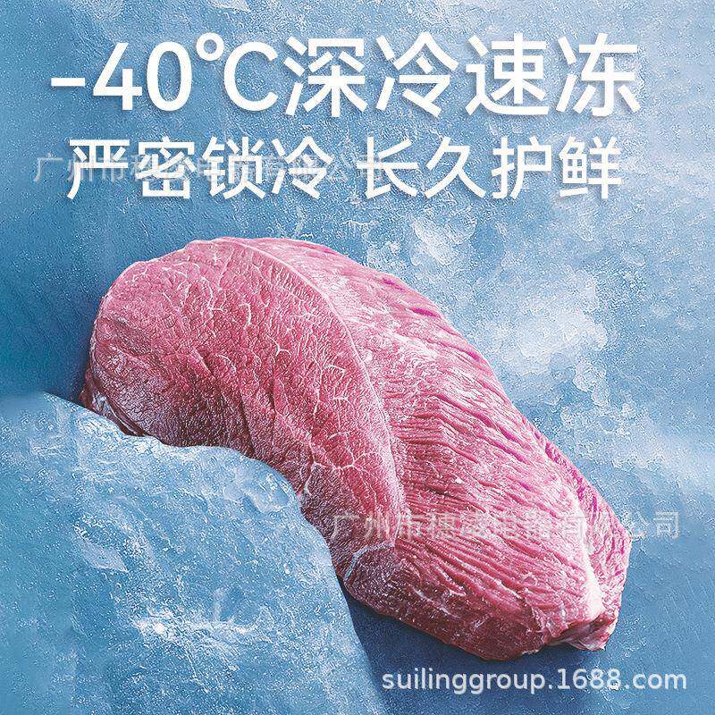 穗凌头LAQ现货冰柜商用冷冻冰柜容量单大温商用冷藏保鲜卧式箱源