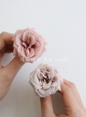 大地农园玛丽安蔷薇玫瑰02412进口花白色X莫兰迪色干花