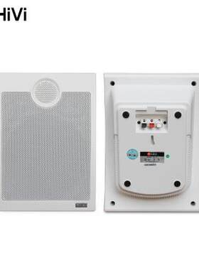 Hivi/惠威 H5Hivi/惠威 TW106 专业定压喇叭