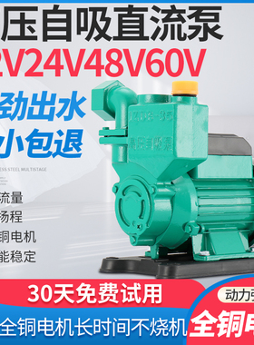 直流自吸泵12V24V抽水机48V60V电动车抽水泵家用灌溉大流量电瓶泵