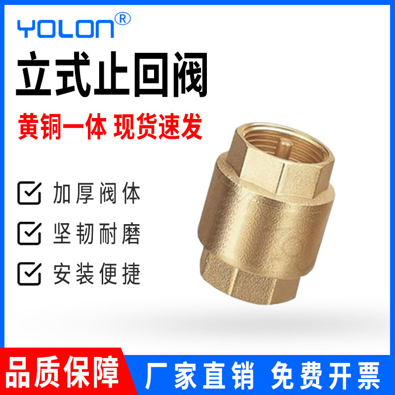 立式铜止回阀 弹簧止逆阀逆止阀 铜阀4分6分1寸2寸水管螺纹阀门