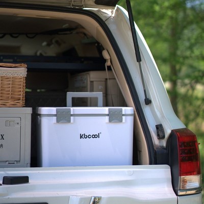 家用户外冷藏箱车载露营野餐保温箱保鲜存储鲜奶饮品野餐游玩便携