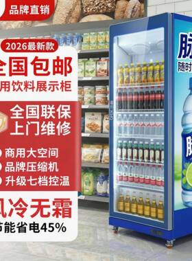 大容量饮料冷藏展示柜风冷无霜立式网红酒水柜商用美宜佳超市便利
